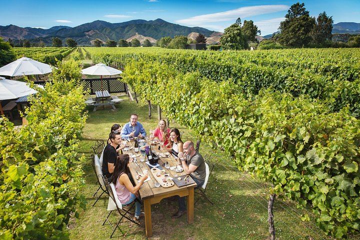 Full-Day Marlborough Winemakers Tour: 4-6 Family-Owned Cellar Doors, Local Guide (3/9)