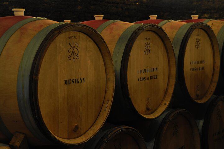 Full-Day Private Burgundy Tour: 3 Tastings, Estate Lunch, 6 Premiers & Grands Crus (11/12)