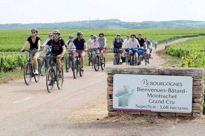 Burgundy Bike and Wine Tour: Downhill from Beaune with a Minivan Transfer and 4 Wines (8/12)