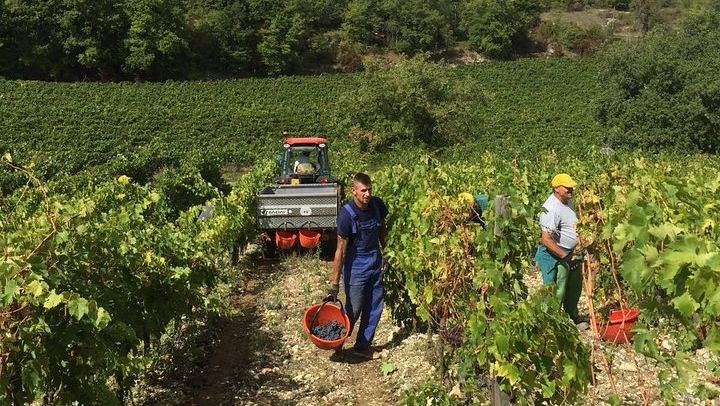 Small-Group Chianti Tasting from Florence at a 12th-Century Villa: Seven Wines and Lunch (4/9)