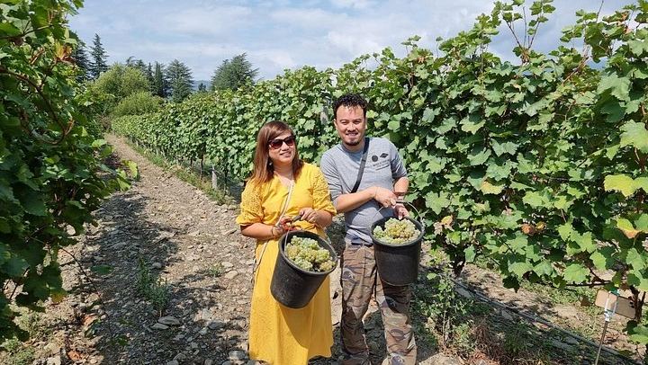 Private Kakheti Tour: Manavi Fortress, Vellino Family Cellar and Home-Cooked Lunch (2/12)