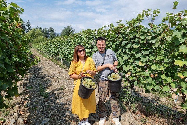 Private Kakheti Tour: Manavi Fortress, Vellino Family Cellar and Home-Cooked Lunch (2/12)