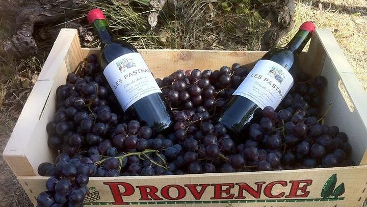 Grape Stomping on a Provençal Farm in Cadenet, with Oak Barrels and a Cheese Buffet (1/3)