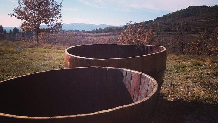 Grape Stomping on a Provençal Farm in Cadenet, with Oak Barrels and a Cheese Buffet (3/3)