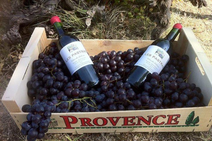 Grape Stomping on a Provençal Farm in Cadenet, with Oak Barrels and a Cheese Buffet (1/3)