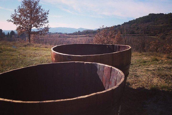 Grape Stomping on a Provençal Farm in Cadenet, with Oak Barrels and a Cheese Buffet (3/3)