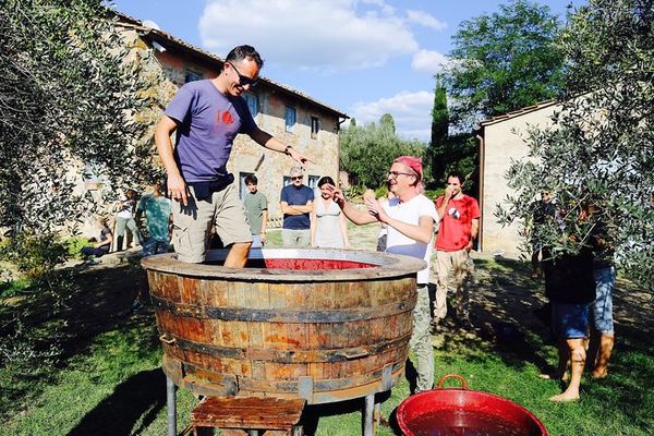 Organic and Biodynamic Chianti Small Family Wineries: Greve, Montefioralle and Two Estates