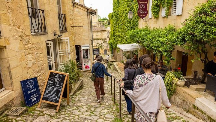 Graves and Saint-Émilion Wine Day from Bordeaux: Pessac-Léognan Château, Picnic, Pomerol (4/7)