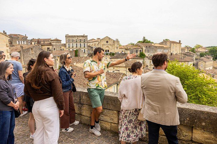 Graves and Saint-Émilion Wine Day from Bordeaux: Pessac-Léognan Château, Picnic, Pomerol (6/7)