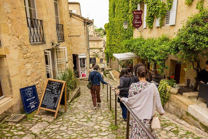 Graves and Saint-Émilion Wine Day from Bordeaux: Pessac-Léognan Château, Picnic, Pomerol (4/7)