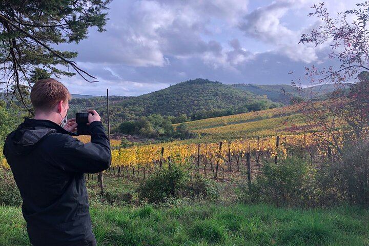 Chianti Classico Hiking Day from Florence: 7 km Walk, 3 Organic Wineries and Lunch (8/12)