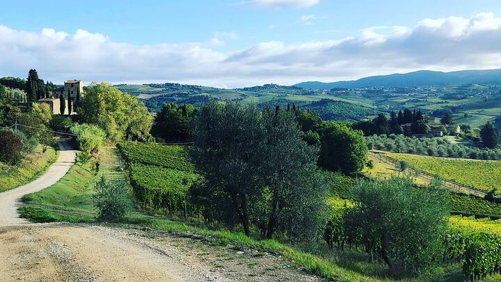 Chianti Classico Hiking Day from Florence: 7 km Walk, 3 Organic Wineries and Lunch (3/12)