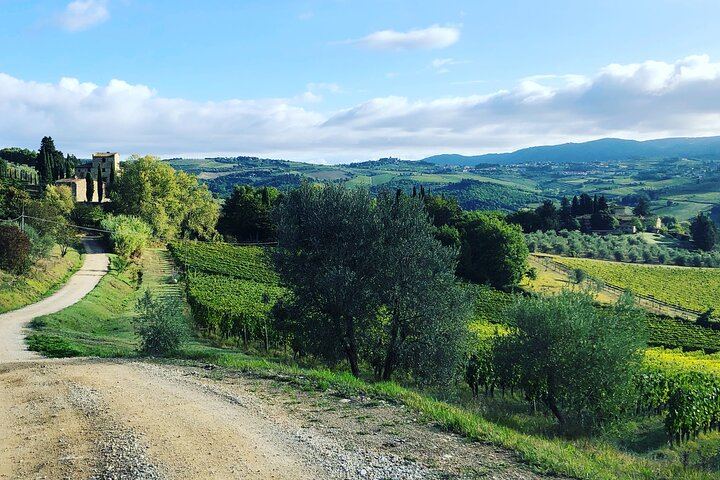 Chianti Classico Hiking Day from Florence: 7 km Walk, 3 Organic Wineries and Lunch (3/12)