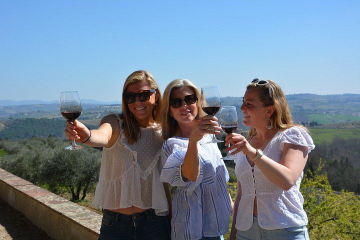 Chianti Classico Half-Day Wine Tour from Florence: 2 Family Wineries and Lunch (5/9)
