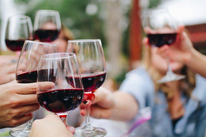 Chianti Classico Hiking Day from Florence: 7 km Walk, 3 Organic Wineries and Lunch (5/12)