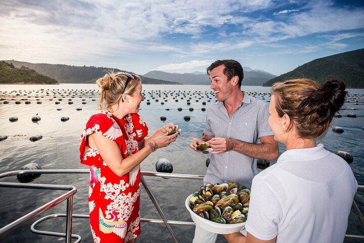 Marlborough Icons Full-Day Tour: Two Wineries and Seafood Cruise on Queen Charlotte Sound (8/10)