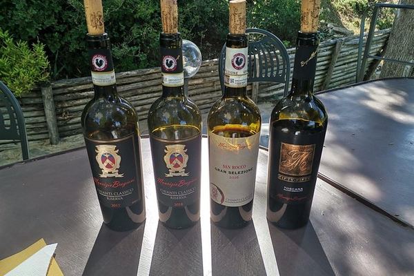 Greve in Chianti Organic Family Winery Visit: Vineyard, Olive Grove and Cellar Tasting