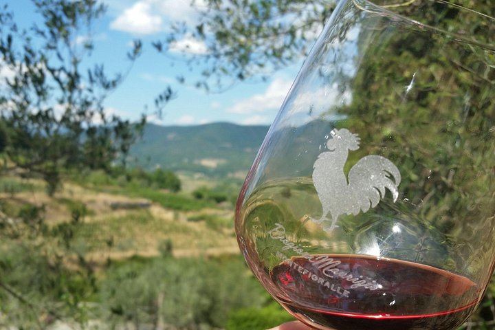 Greve in Chianti Organic Family Winery Visit: Vineyard, Olive Grove and Cellar Tasting (1/8)