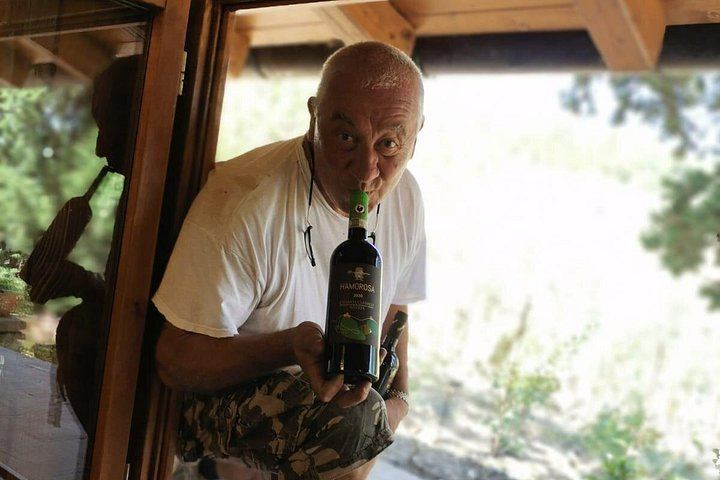 Greve in Chianti Organic Family Winery Visit: Vineyard, Olive Grove and Cellar Tasting (7/8)