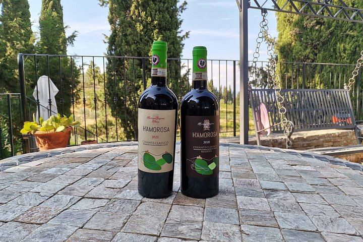 Greve in Chianti Organic Family Winery Visit: Vineyard, Olive Grove and Cellar Tasting (8/8)