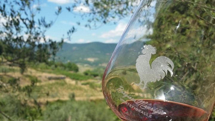 Greve in Chianti Organic Family Winery Visit: Vineyard, Olive Grove and Cellar Tasting (1/8)