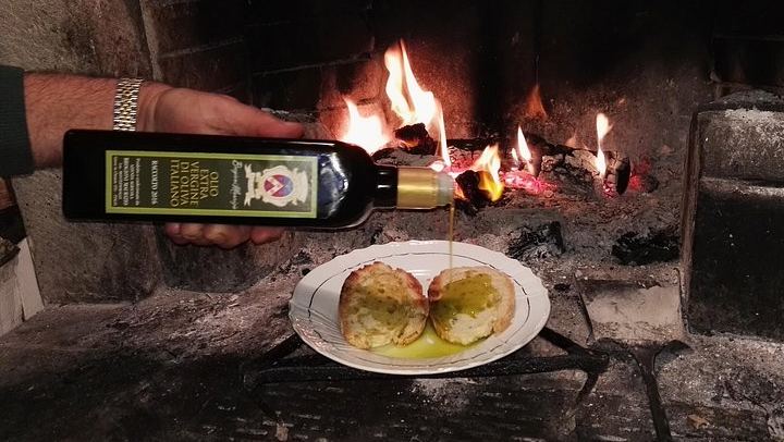 Greve in Chianti Organic Family Winery Visit: Vineyard, Olive Grove and Cellar Tasting (2/8)
