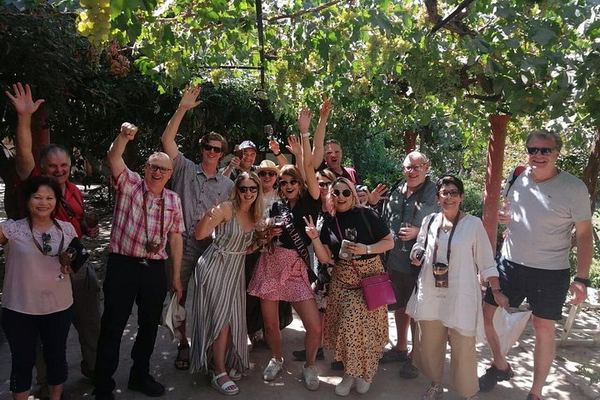 Little Wine Bus Day Trip to Isla de Maipo: Brunch, Wineries and River Lunch