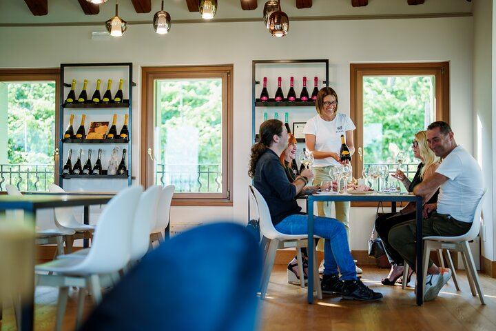 Private Prosecco DOCG Tasting at a Historic Saccol Winery in Valdobbiadene (7/10)