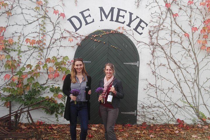 Stellenbosch Small-Group Wine Tour, Max 8 Guests, Changing Daily Route (5/12)
