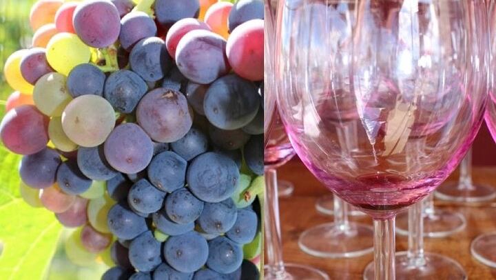 Kettle Valley Railway Bike Tour at Myra Canyon with Kelowna Winery Tastings, Groups of 4+ (1/7)