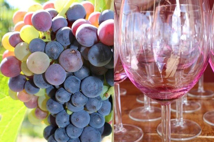 Kettle Valley Railway Bike Tour at Myra Canyon with Kelowna Winery Tastings, Groups of 4+ (1/7)
