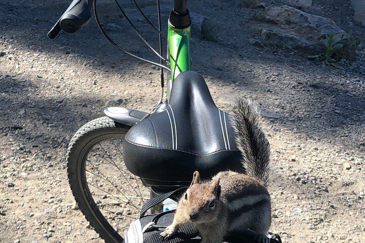 Kettle Valley Railway Bike Tour at Myra Canyon with Kelowna Winery Tastings, Groups of 4+ (5/7)