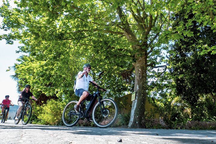 Stellenbosch Luxury E-Bike Winelands Tour with Premium Tastings and Lunch (1/5)