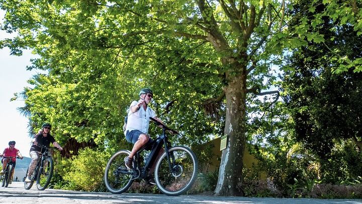 Stellenbosch Luxury E-Bike Winelands Tour with Premium Tastings and Lunch (1/5)