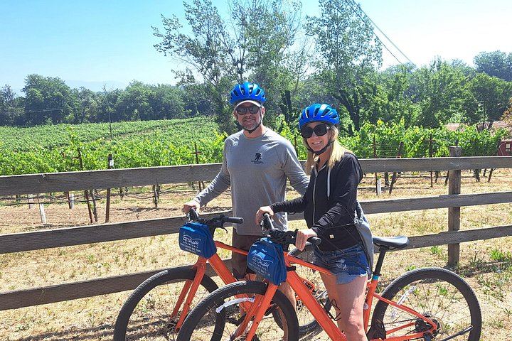 Healdsburg Dry Creek Valley Bike Tour: Three Wineries and Picnic Lunch (6/9)