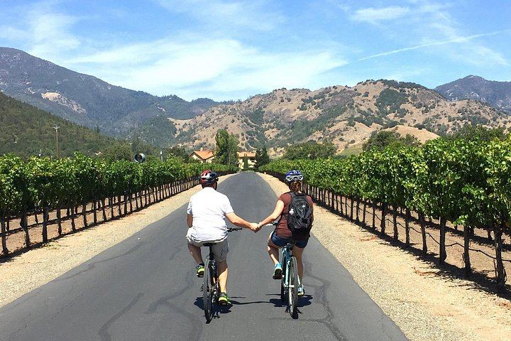 Healdsburg Dry Creek Valley Bike Tour: Three Wineries and Picnic Lunch (9/9)