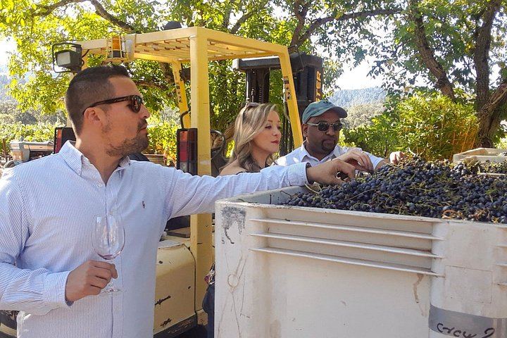 Healdsburg Dry Creek Valley Bike Tour: Three Wineries and Picnic Lunch (8/9)