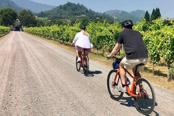 Healdsburg Dry Creek Valley Bike Tour: Three Wineries and Picnic Lunch
