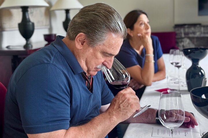 Private Customizable Médoc Wine Tour with Lunch Stop: Saint-Julien, Pauillac and Margaux (2/9)