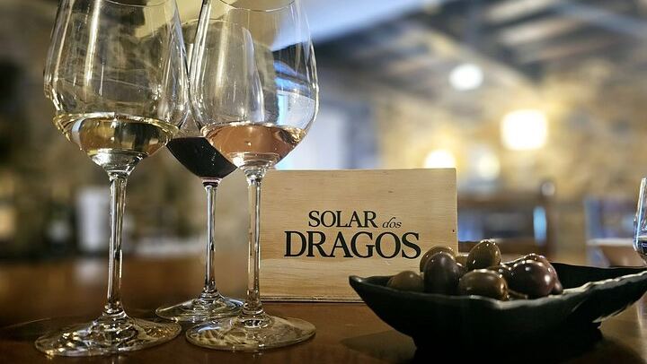 Lamego Guided Wine Tasting at Quinta de Sequeiros with Olive Oil and Honey (2/9)