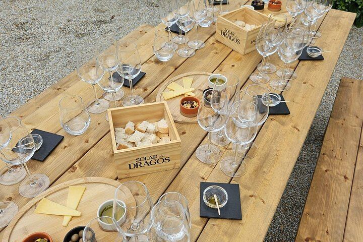 Lamego Guided Wine Tasting at Quinta de Sequeiros with Olive Oil and Honey (9/9)