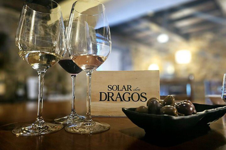 Lamego Guided Wine Tasting at Quinta de Sequeiros with Olive Oil and Honey (2/9)