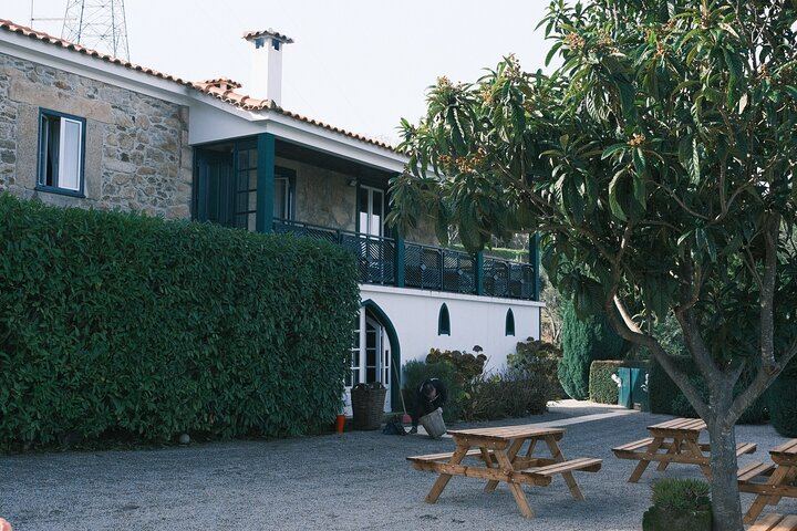 Lamego Guided Wine Tasting at Quinta de Sequeiros with Olive Oil and Honey (7/9)