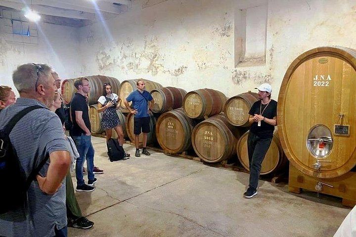 Porto Small-Group Port and Douro Wine Tour in Gaia: Three Lodges, Nine Tastings (12/12)