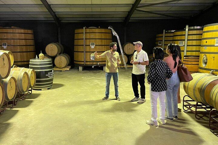 Sustainable Douro Valley Day Trip from Porto with Three-Course Lunch and Winery Tasting (5/9)