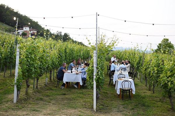 Alba Vineyard Walk, Cellar Visit and Langhe Lunch with 5 Wines at MyLanghe