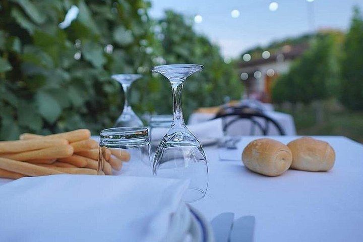 Alba Vineyard Walk, Cellar Visit and Langhe Lunch with 5 Wines at MyLanghe (1/9)