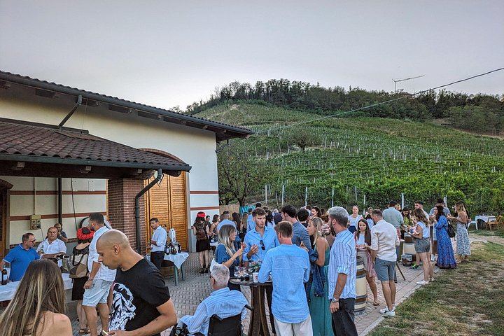 Alba Vineyard Walk, Cellar Visit and Langhe Lunch with 5 Wines at MyLanghe (2/9)