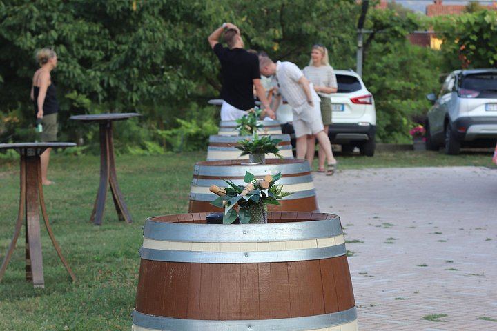 Alba Vineyard Walk, Cellar Visit and Langhe Lunch with 5 Wines at MyLanghe (9/9)
