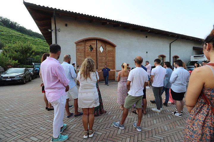 Alba Vineyard Walk, Cellar Visit and Langhe Lunch with 5 Wines at MyLanghe (8/9)
